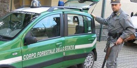 Foto tratta dal web