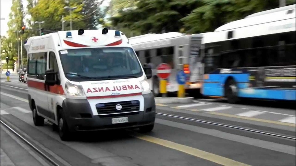 Foto tratta dal web