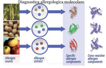Diagnostica Allergologica Molecolare
