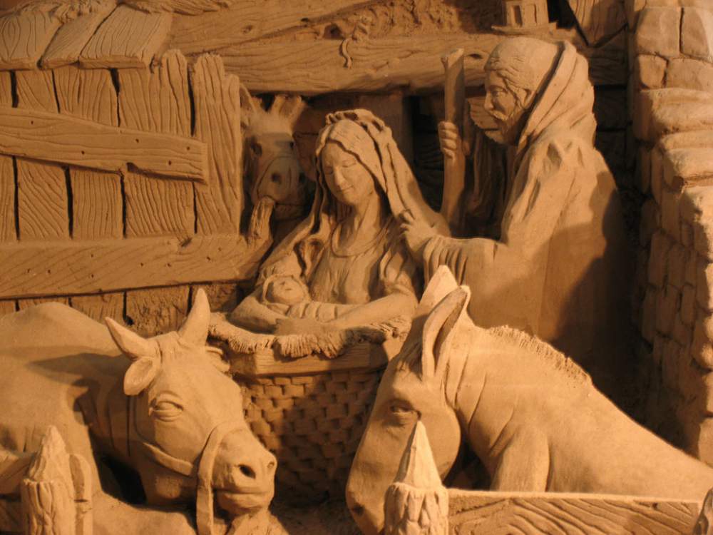 Foto tratta dal web