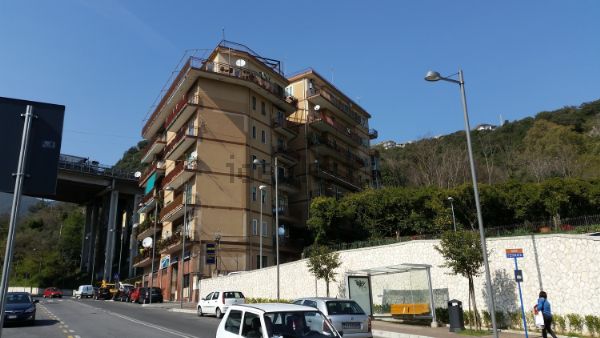 foto tratta dal web