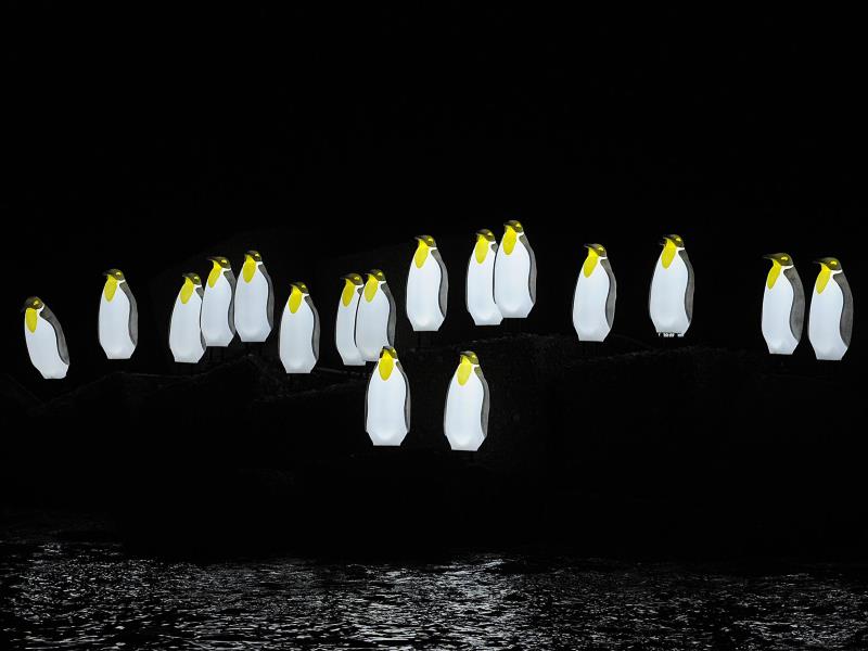 Foto tratta dal web