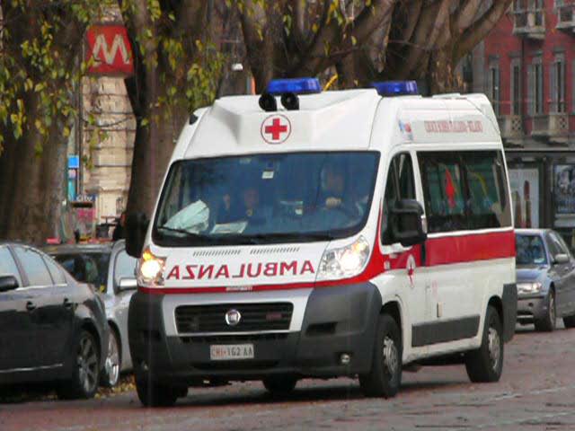 Foto tratta dal Web