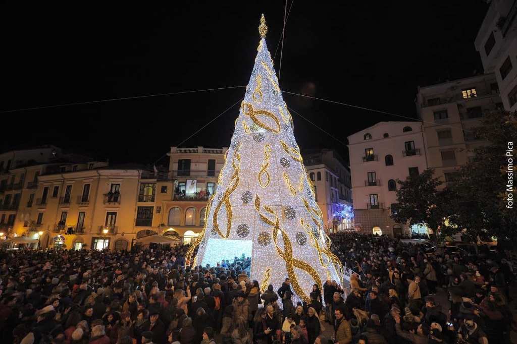 Foto tratta dal web