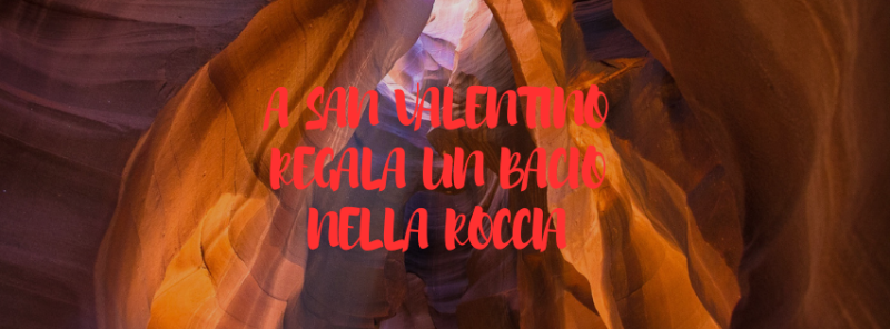 Foto tratta dal web