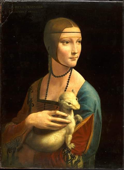 Leonardo Da Vinci, Dama con l'Ermellino