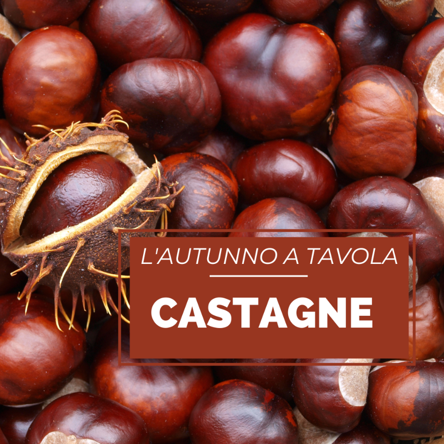 Sicignano degli Alburni la sagra della Castagna