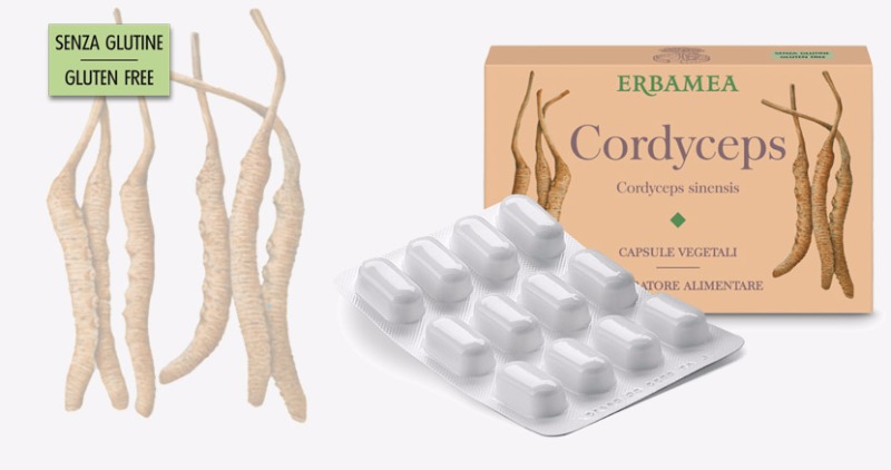 Cordyceps - Integratore Alimentare