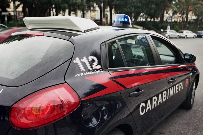Foto tratta dal web