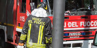 Foto tratta dal web