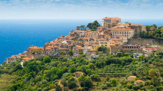 Foto tratta dal web