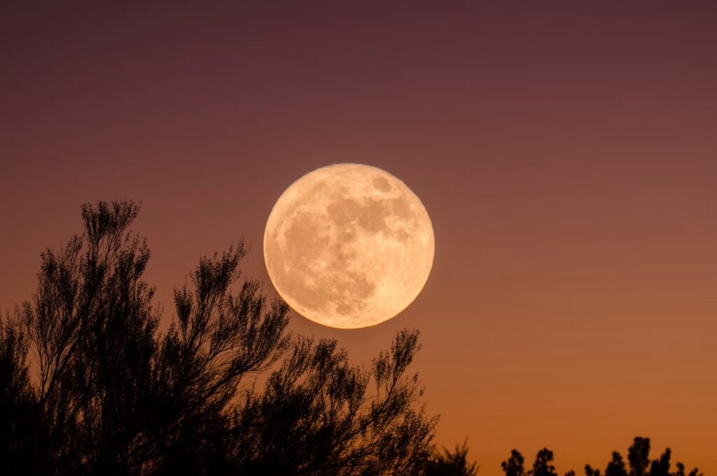 La Luna vi aspetta a Pontecagnano